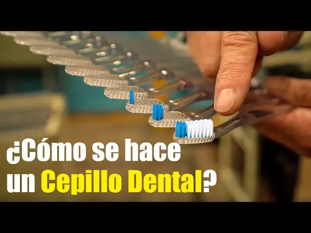 fabrica de cepillos de dientes - Cómo se realiza el cepillo de dientes