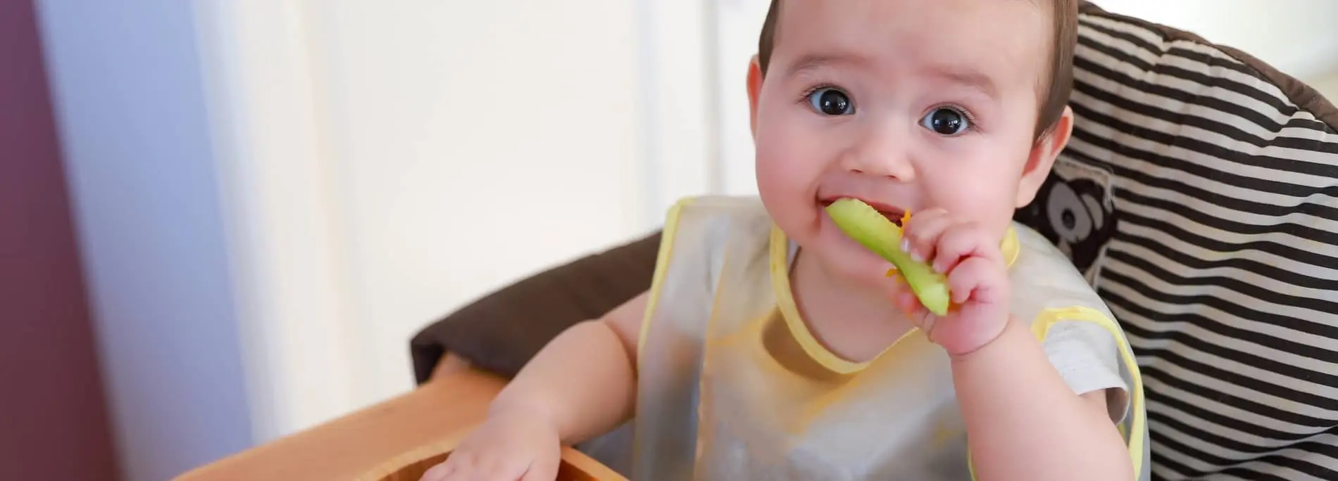 que puede comer un bebe de 8 meses sin dientes - Cuántas comidas se le da a un bebé de 8 meses